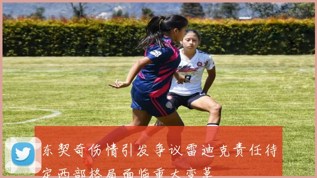 东契奇伤情引发争议雷迪克责任待定西部格局面临重大变革